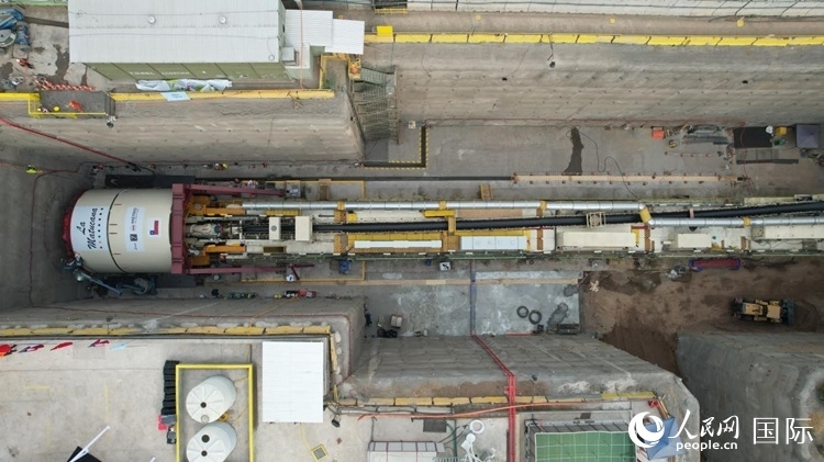 質(zhì)構(gòu)機(jī)全景。陳露明攝