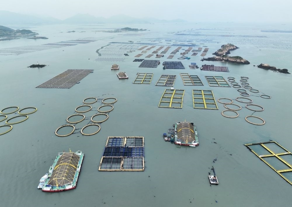 在福建連江定海灣海域，坐落著“定海灣1號”“定海灣2號”等深遠(yuǎn)海養(yǎng)殖平臺（2024年5月7日攝，無人機(jī)照片）。新華社記者 林善傳 攝