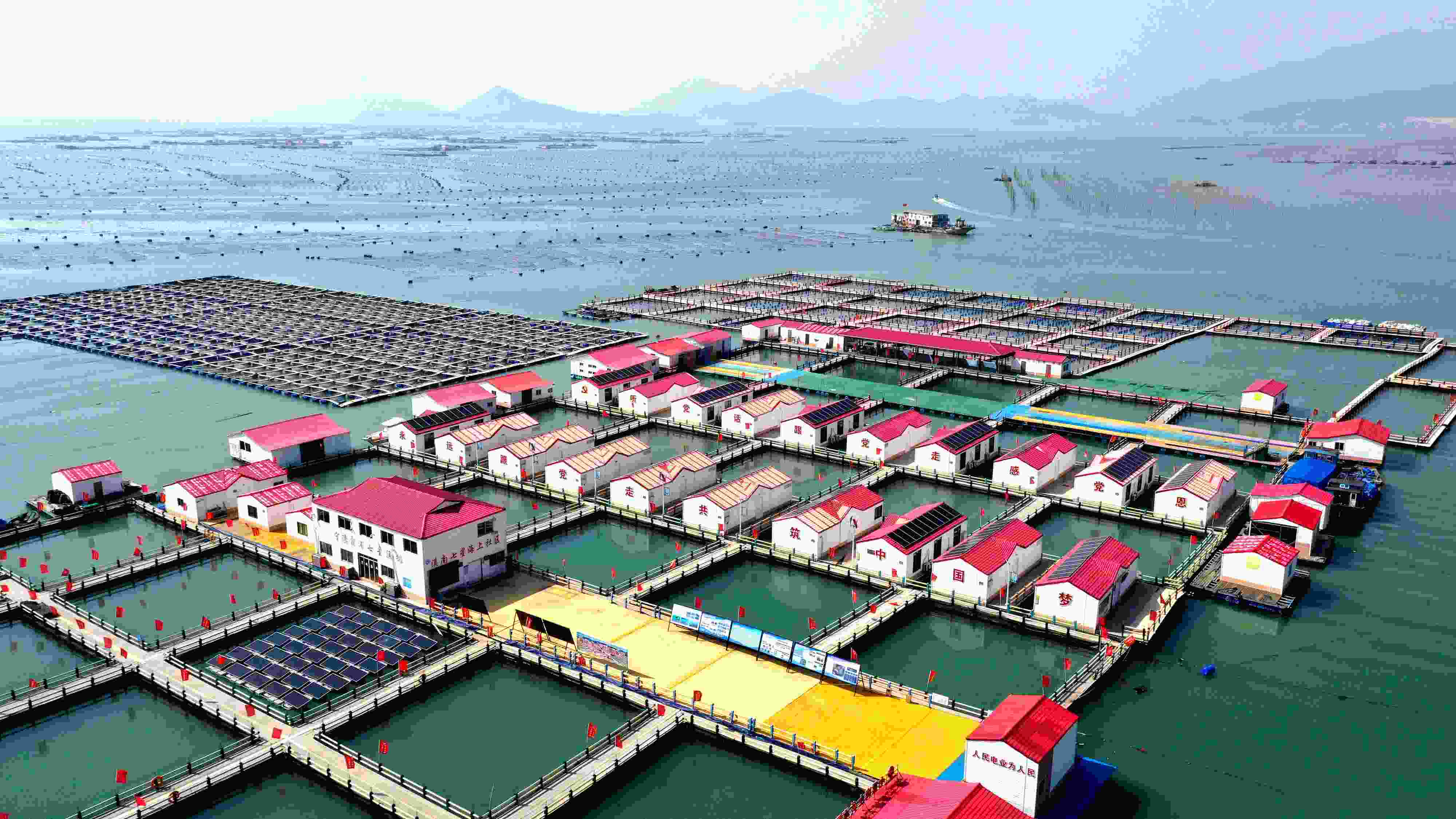 2024年3月20日，福建省寧德市，霞浦縣溪南鎮(zhèn)七星村漁排養(yǎng)殖示范區(qū)，漁民駕駛養(yǎng)殖船進(jìn)行海參養(yǎng)殖作業(yè)。