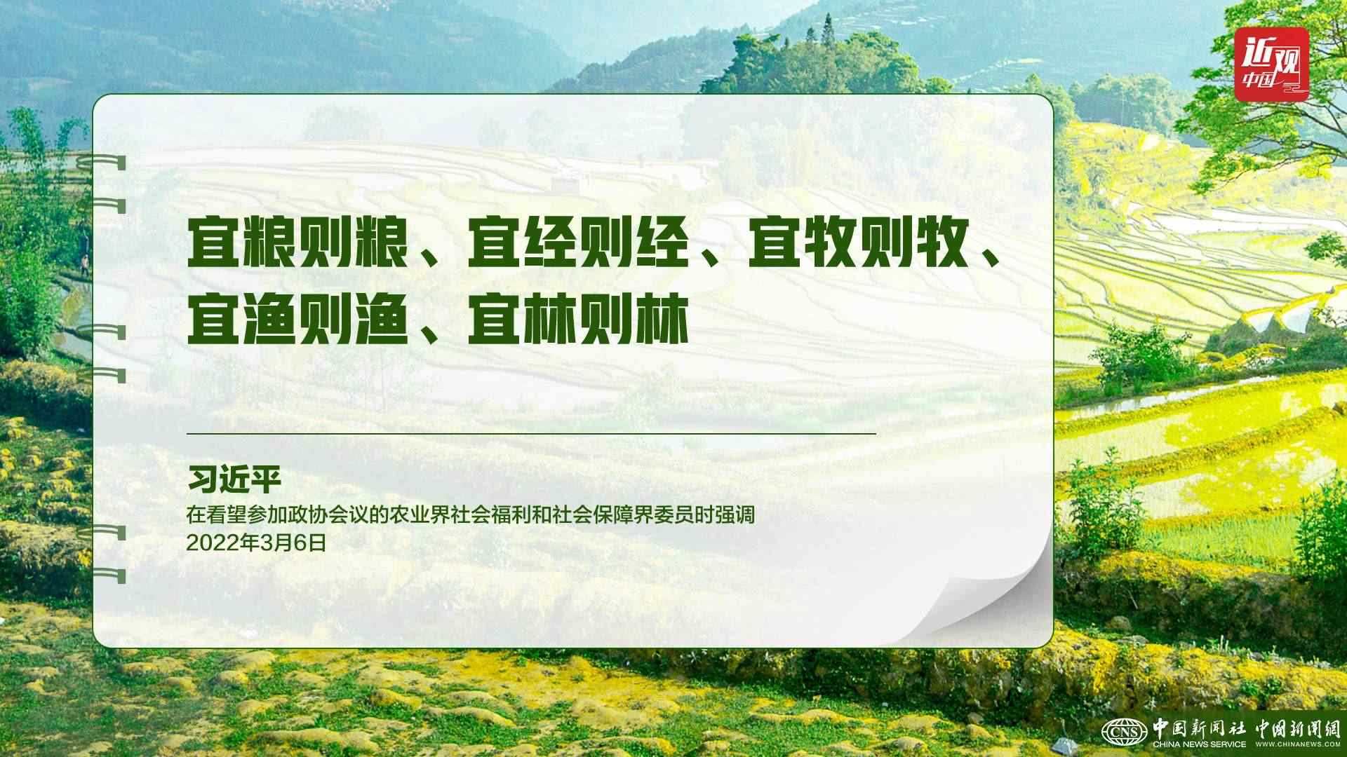 習(xí)近平：樹立大食物觀，構(gòu)建多元化食物供給體系