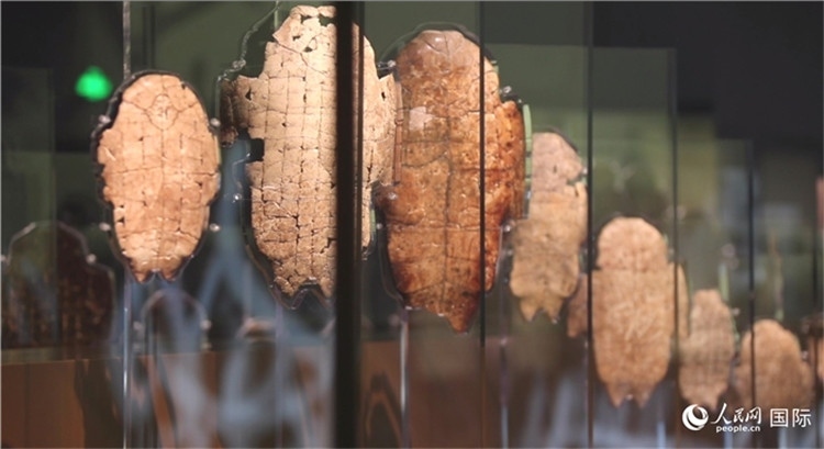 殷墟博物館新館的甲骨展品。人民網記者 劉寧攝