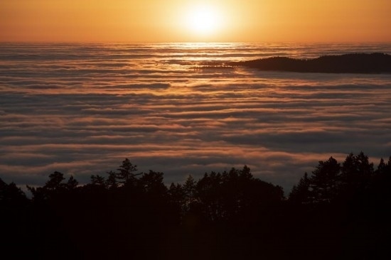 這是5月14日在美國加利福尼亞州馬林縣拍攝的云海。新華社發(fā)（李建國攝）