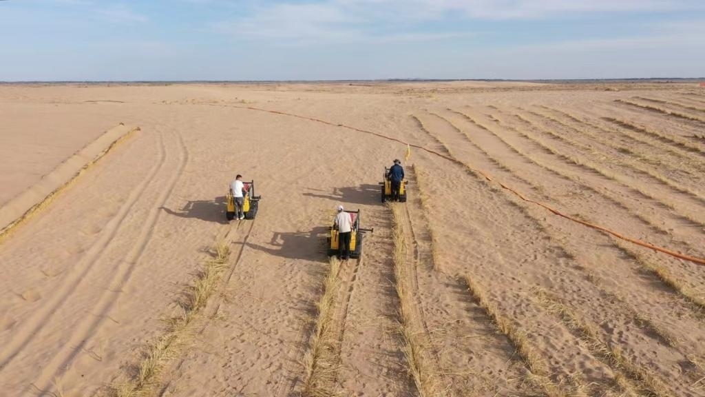 內(nèi)蒙古巴彥淖爾市烏拉特后旗西補(bǔ)隆林業(yè)管護(hù)中心職工駕駛機(jī)械鋪設(shè)壓沙障。新華社記者 李云平 攝