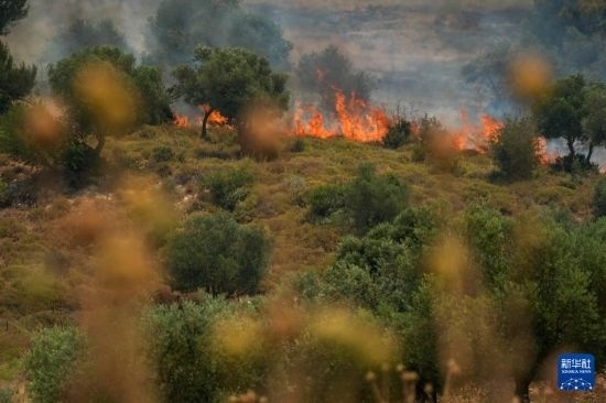 6月12日，以色列北部加利利地區(qū)遭受火箭彈襲擊后冒出滾滾濃煙。新華社發(fā)（阿亞爾·馬戈林?jǐn)z/基尼圖片社）