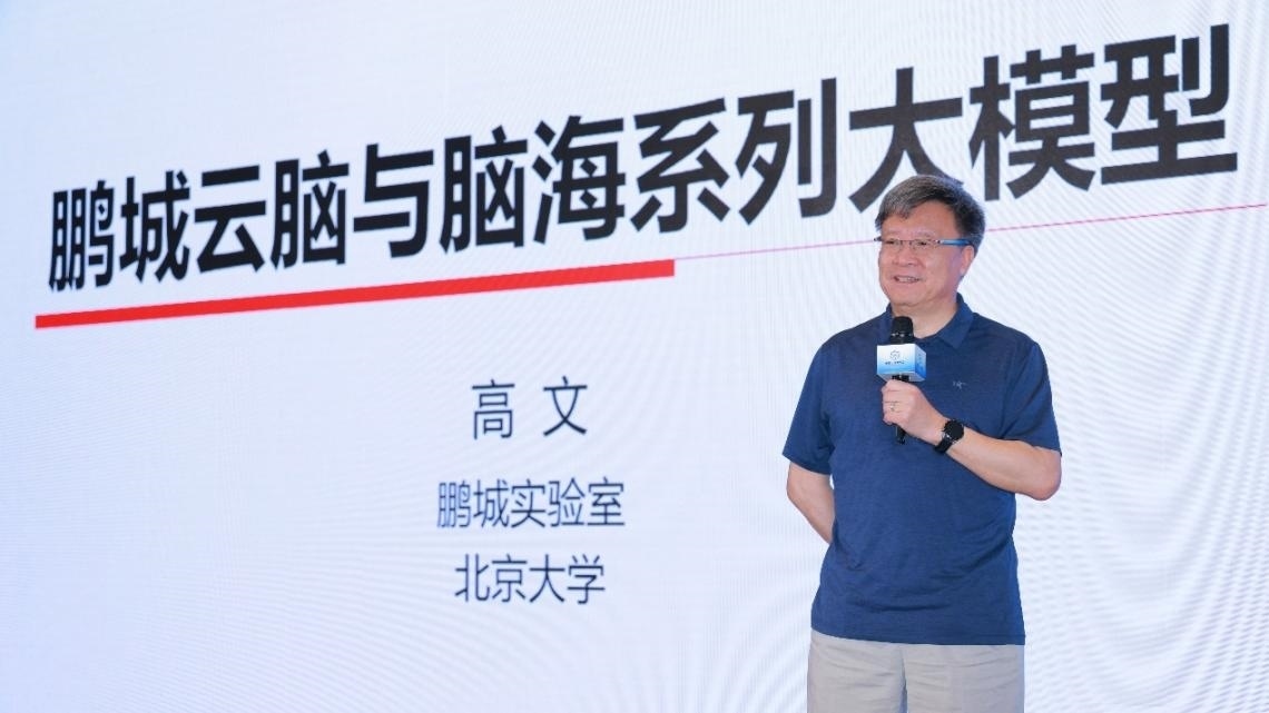 高文院士做大會特邀報告。主辦方供圖