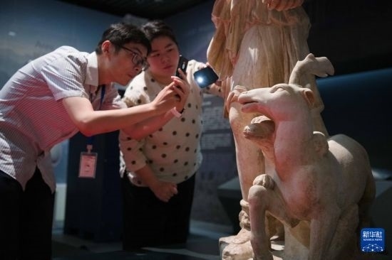 7月2日，安徽博物院工作人員在拍攝開箱后的古希臘文物。新華社記者 張端 攝