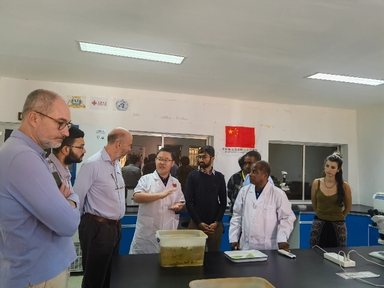 活動現(xiàn)場。專家組供圖