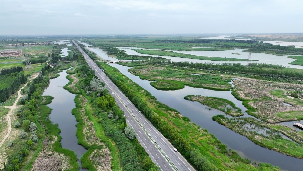 這是2024年6月13日拍攝的黃河寧夏段濱河大道（無人機(jī)照片）。近年來，寧夏努力建設(shè)黃河流域生態(tài)保護(hù)和高質(zhì)量發(fā)展先行區(qū)，全力打好黃河保護(hù)持久戰(zhàn)。新華社記者 王鵬 攝