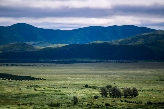 2023年8月4日拍攝的大興安嶺南麓內蒙古罕山國家級自然保護區(qū)風光。新華社記者 連振 攝