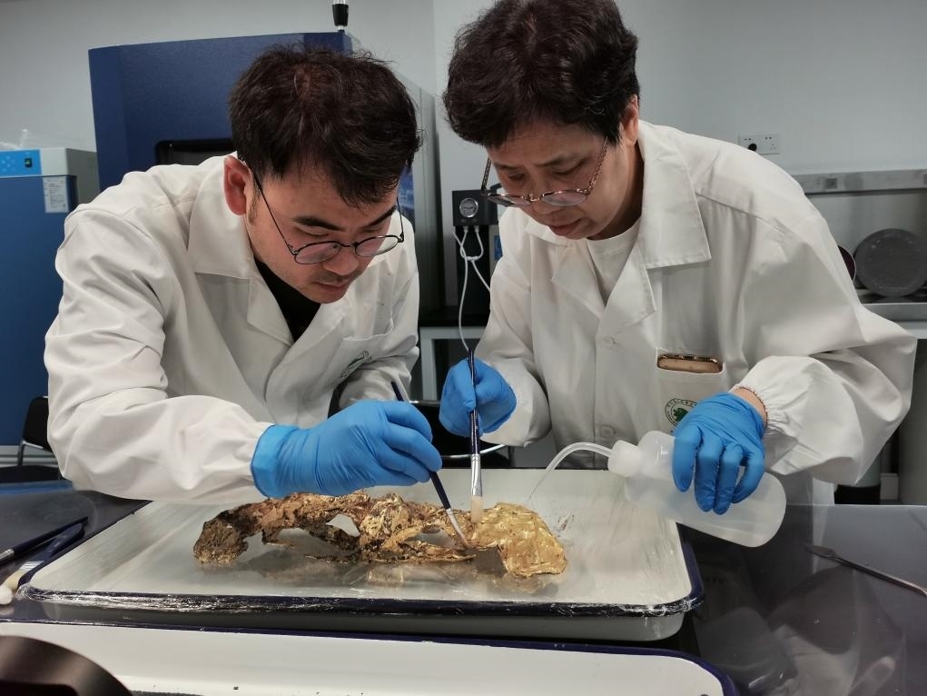 2023年7月，馬燕如（右）帶著魯海子（左）修復(fù)三星堆遺址出土的黃金面具。新華社發(fā)（四川省文物考古研究院供圖）