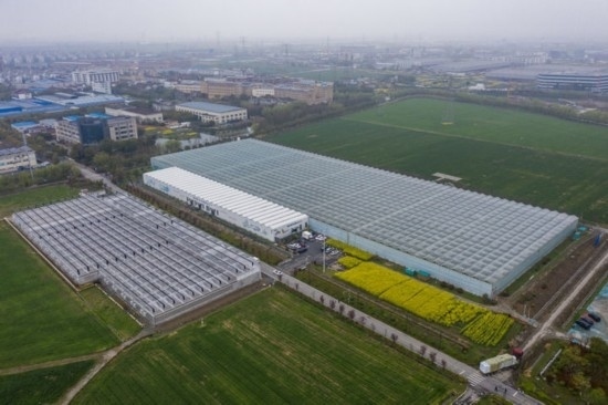 2024年3月28日，空中俯瞰嘉興南湖區(qū)湘家蕩農(nóng)業(yè)數(shù)字化工廠（無(wú)人機(jī)照片）。該農(nóng)業(yè)數(shù)字化工廠占地總面積約62畝，包含智慧農(nóng)業(yè)生產(chǎn)、物聯(lián)網(wǎng)智能管理、自動(dòng)分揀包裝、保鮮儲(chǔ)藏物流、高科技示范展示等五大功能區(qū)，可直接或間接培養(yǎng)帶動(dòng)新型職業(yè)技術(shù)農(nóng)民500人以上。新華社記者 徐昱 攝