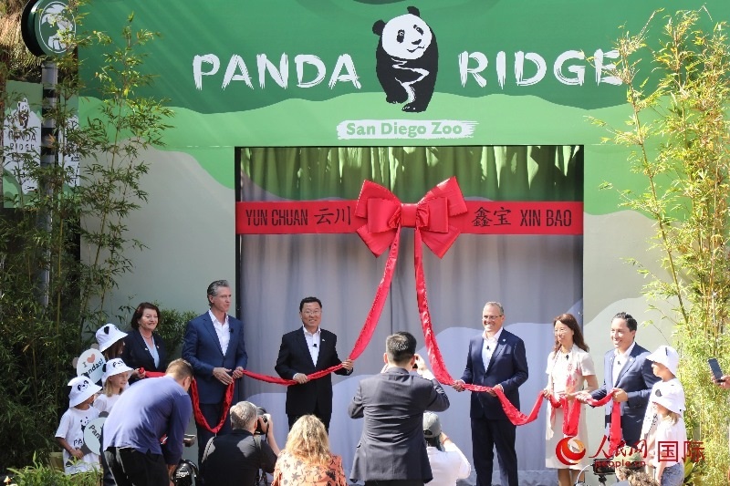 1、中國駐美國大使謝鋒、加州州長紐森、圣迭戈市市長格洛利亞等人共同為“熊貓嶺”開館剪彩。 人民網(wǎng)記者 李志偉攝