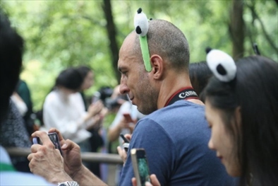 俄羅斯《俄羅斯報》視覺內(nèi)容編輯阿爾圖爾·杰魯諾夫在拍攝熊貓。（李佩藺 攝）