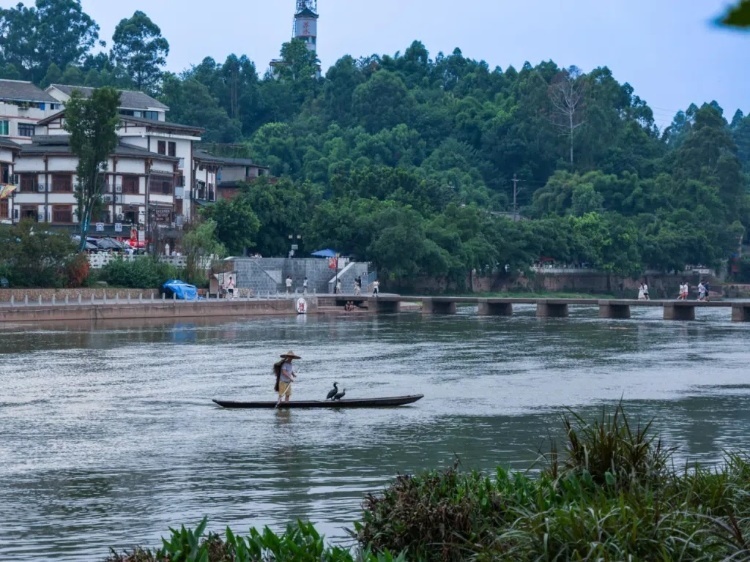 蘇稽古鎮(zhèn)的漁民在進(jìn)行魚鷹捕魚表演。本報(bào)記者 伊霄攝