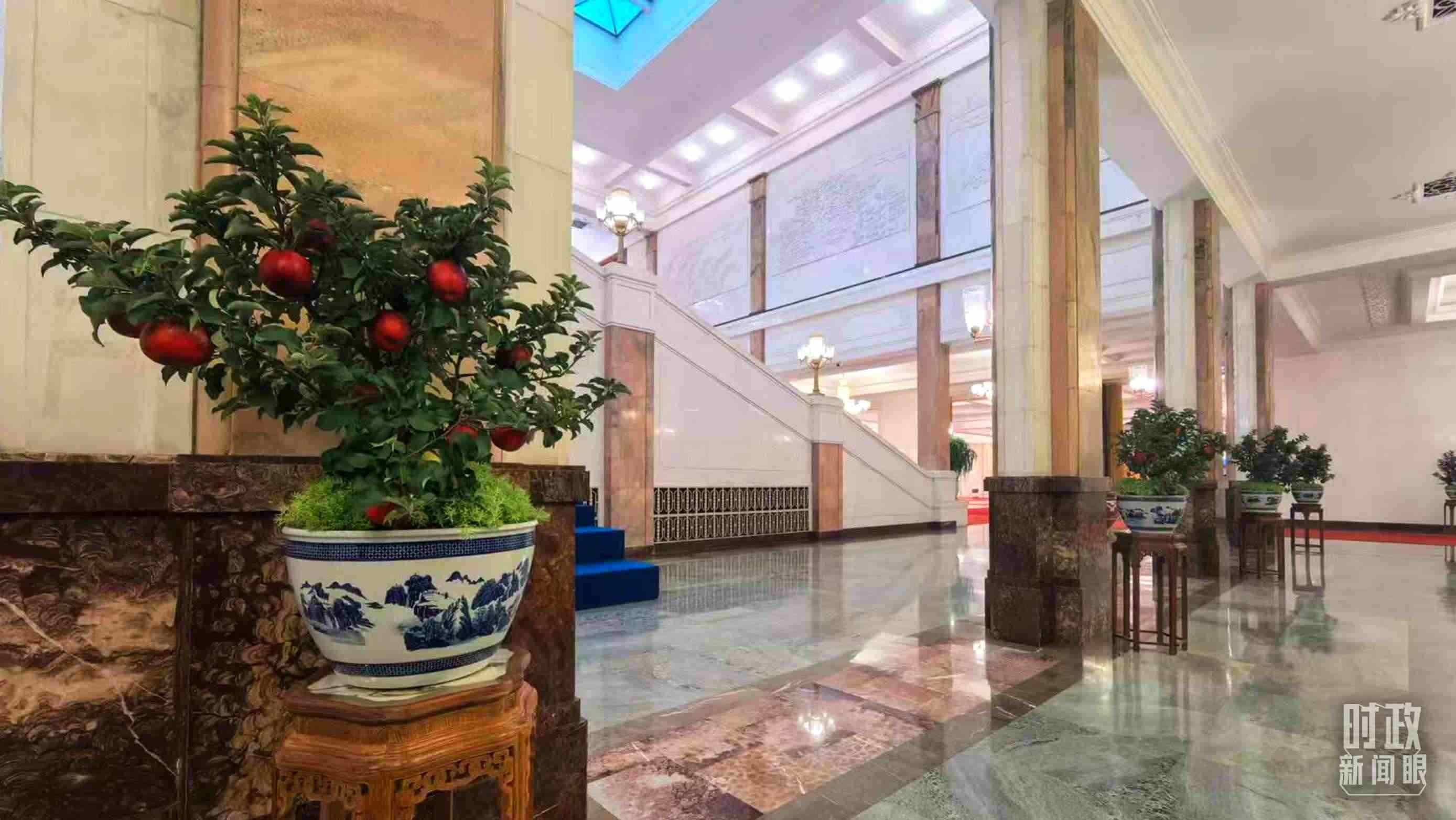  △大會堂內(nèi)的“碩果累累”盆栽。（總臺國廣記者吳倩拍攝）