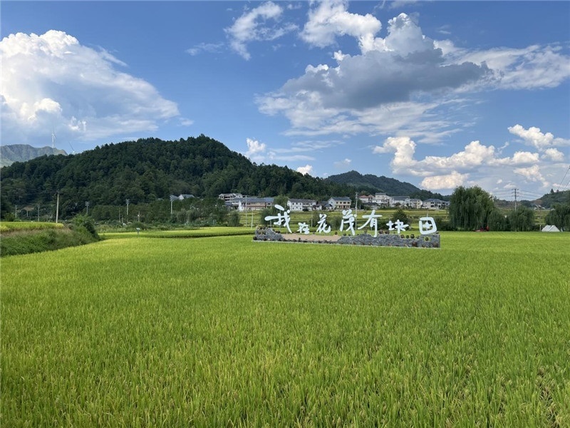 青瓦白磚的黔北民居、風(fēng)中搖曳的稻田、抬手可觸的大片云朵……才剛下車，格魯吉亞“經(jīng)濟(jì)中心網(wǎng)”總編輯莉安娜·喬爾喬利亞尼就被眼前的景色拖住了步履，喃喃細(xì)語：“實(shí)在太美了，讓我內(nèi)心平靜，在這里生活一定非常安逸和幸福?！保ㄇ褫x攝）