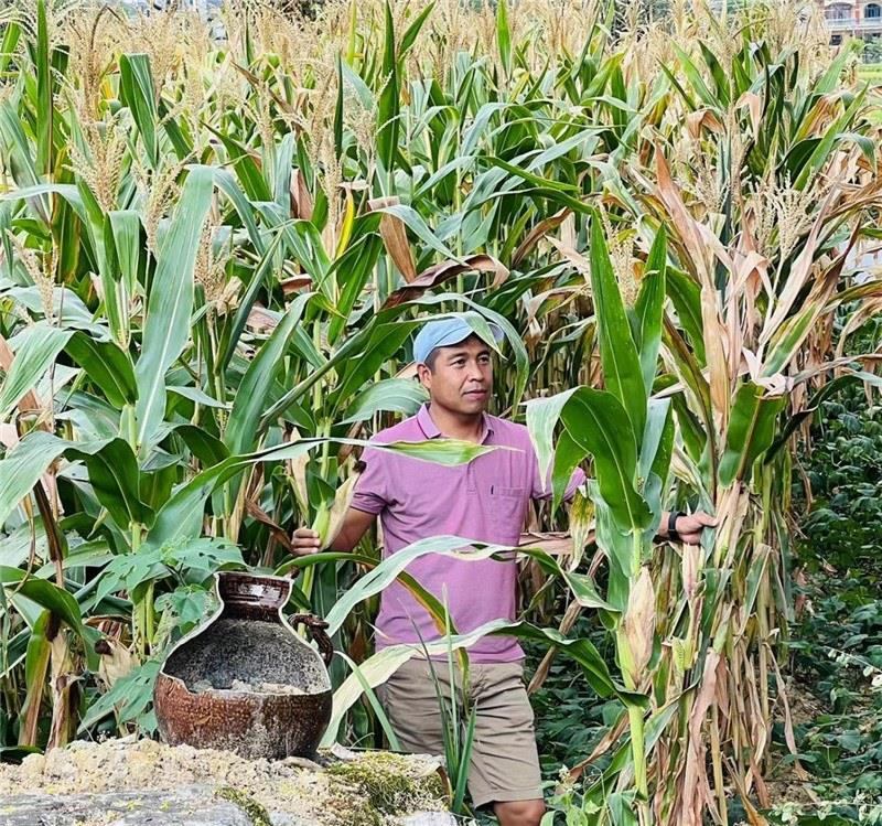 不是攀登石林高臺(tái)，就是鉆入玉米莊稼地，吉爾吉斯斯坦《自由之山報(bào)》總編輯納拉雷·阿桑巴耶夫“身手不凡”，與生長(zhǎng)旺盛的玉米構(gòu)成了花茂村的鄉(xiāng)間野趣。（張亞欣攝）