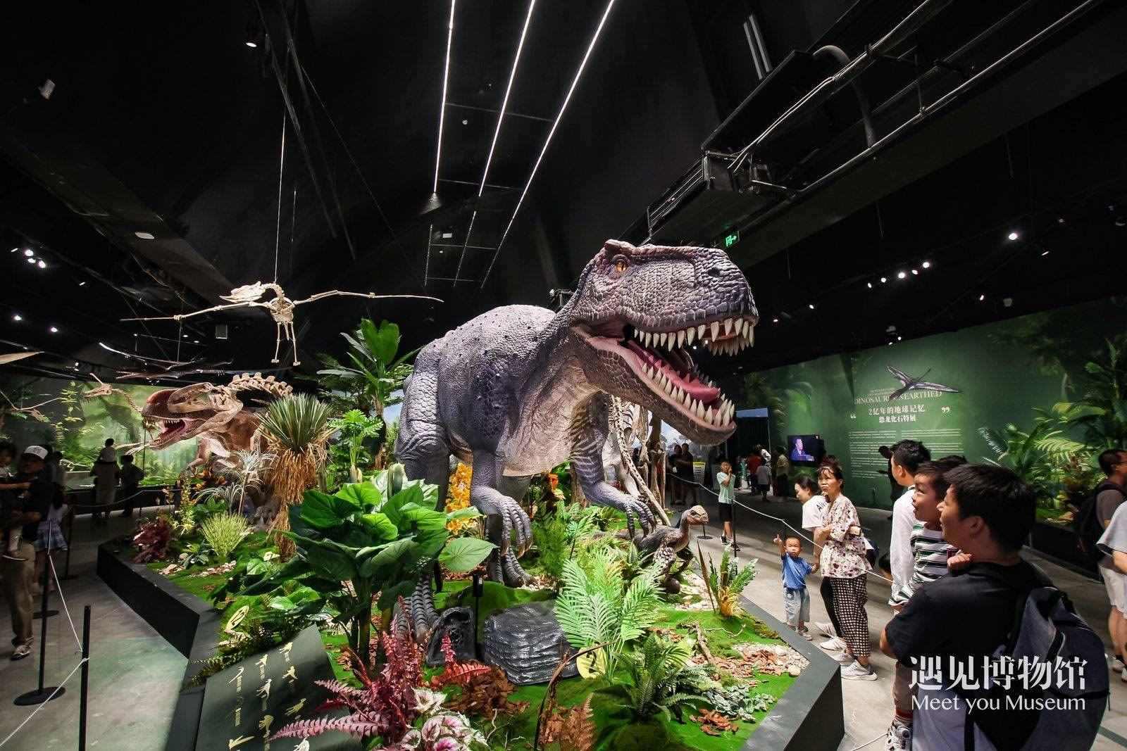 2. 游客參觀“2億年的地球記憶——恐龍化石特展”。遇見博物館供圖
