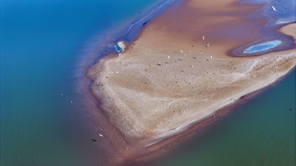 2024年3月1日拍攝的黃河寧夏段（無人機(jī)照片）。