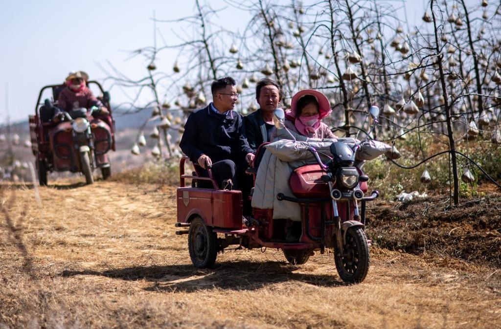 全國人大代表袁海波（右三）在云南省曲靖市馬龍區(qū)一種植基地了解務工人員就業(yè)需求（2023年2月11日攝）。新華社記者 江文耀 攝