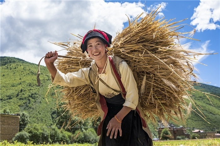 康定市甲根壩鎮(zhèn)青稞豐收，農(nóng)牧民臉上洋溢著豐收的喜悅。林革文攝