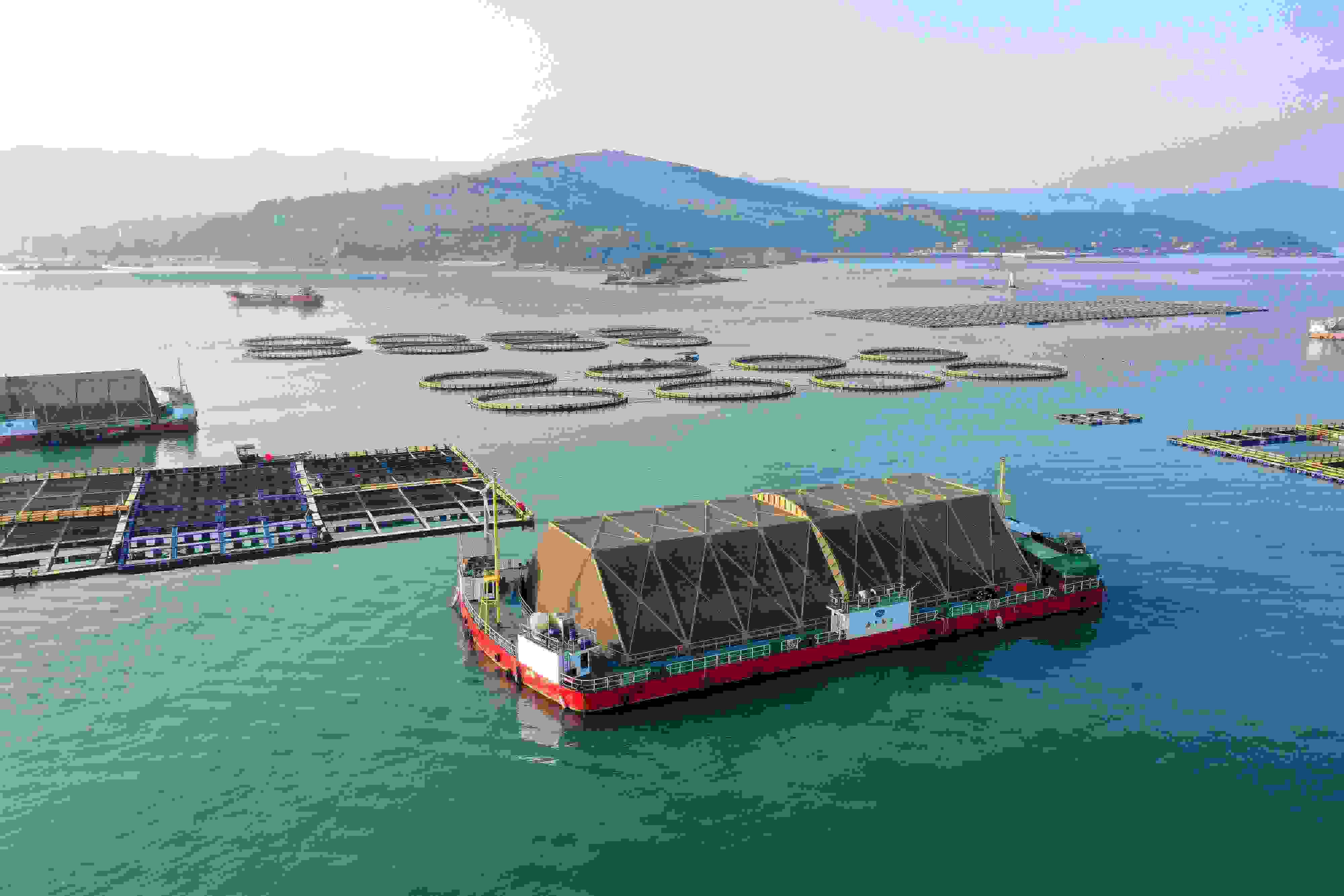 2024年9月10日拍攝的福建省福州市連江縣定海灣海域的現(xiàn)代化“海上糧倉”。