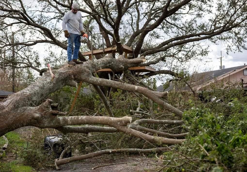 2021年8月30日，在美國路易斯安那州霍馬，一名男子站在被颶風(fēng)吹倒的大樹上。新華社發(fā)（尼克·瓦格納 攝）