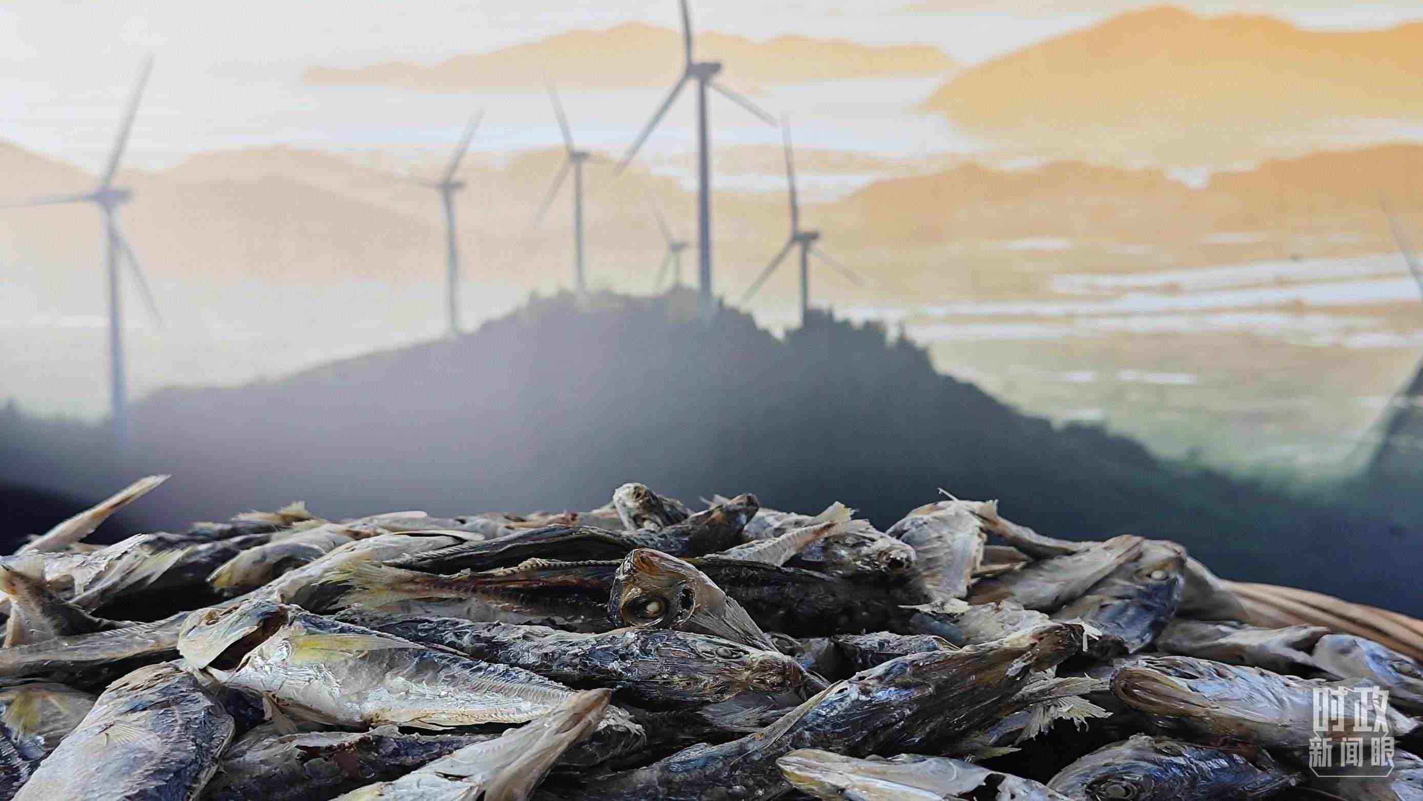 △澳角村的海產(chǎn)品。（總臺央視記者許永松拍攝）