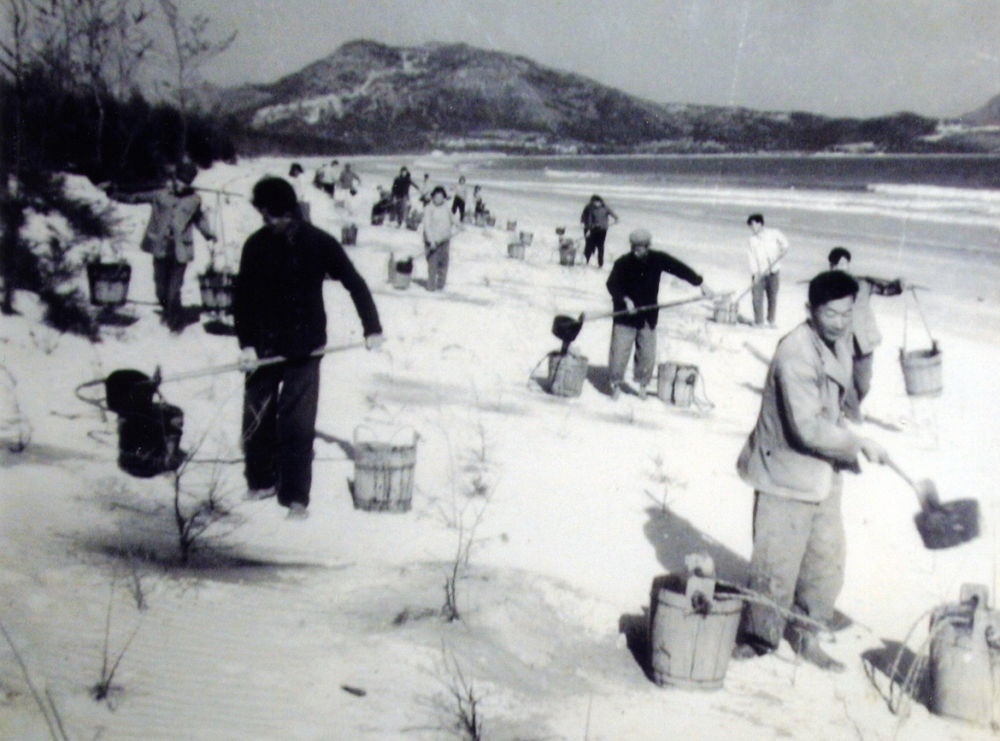 上世紀東山百姓在沙灘造林（資料照片）。