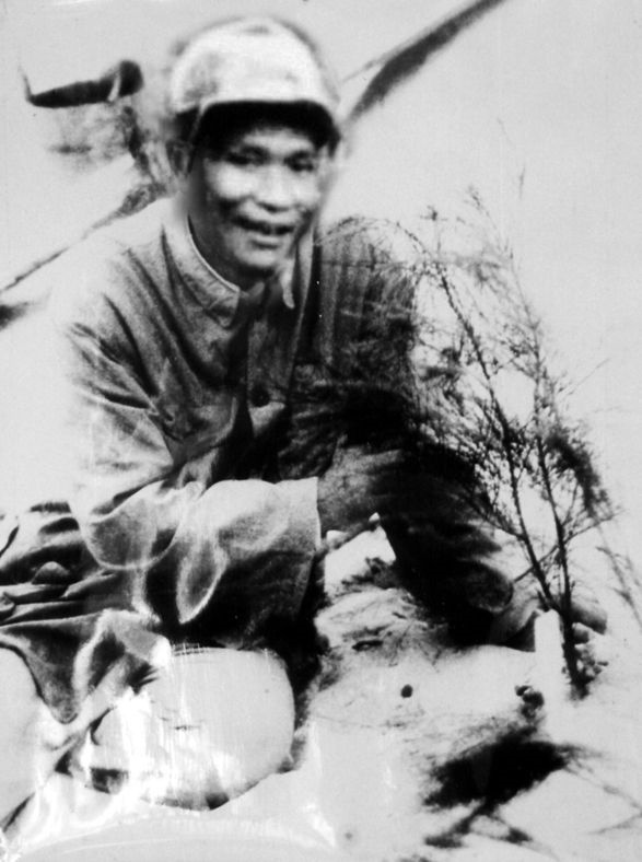 谷文昌與試種成活的木麻黃（資料照片）。為了治沙，谷文昌爬遍了東山縣400多個山頭，踏遍了30多公里的沙灘，終于帶領(lǐng)東山人民試種木麻黃成功。