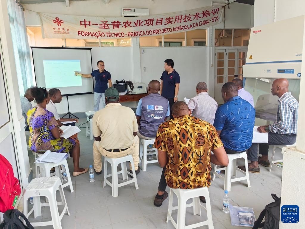 中國(guó)援圣普農(nóng)牧業(yè)技術(shù)項(xiàng)目組專家段振華（后左）在圣多美和普林西比的國(guó)家獸醫(yī)實(shí)驗(yàn)室開(kāi)展動(dòng)物疫病監(jiān)測(cè)技術(shù)培訓(xùn)（2024年6月21日攝）。新華社發(fā)（中國(guó)援圣普農(nóng)技組供圖）