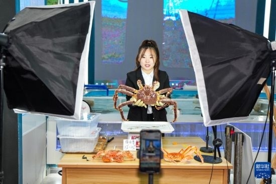 9月20日，在吉林省琿春市的帝王蟹保稅店內(nèi)，工作人員進(jìn)行網(wǎng)絡(luò)直播售賣帝王蟹。新華社記者 許暢 攝