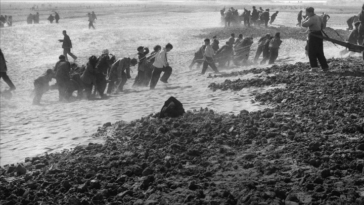 蘭考群眾在拉淤土壓沙。（新華社記者 鄧歷耕 攝）