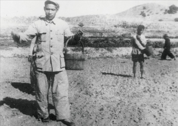 △ 谷文昌在福建省東山縣坑北村參加播種。