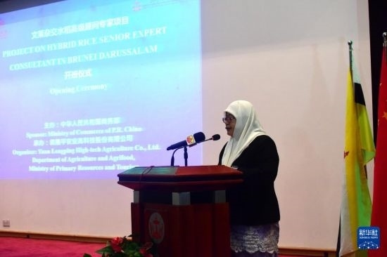 10月26日，文萊初級(jí)資源與旅游部常任秘書圖蒂亞蒂在斯里巴加灣市出席中國(guó)與文萊雜交水稻高級(jí)專家顧問(wèn)項(xiàng)目啟動(dòng)儀式。新華社記者 李萌 攝