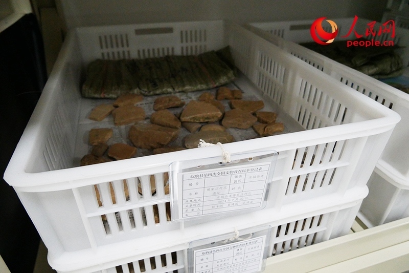 已經(jīng)整理完畢的文物標(biāo)本。人民網(wǎng)記者 韋衍行攝