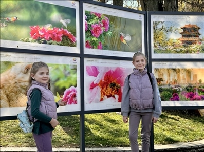 活動現(xiàn)場。中國駐保加利亞大使館供圖。