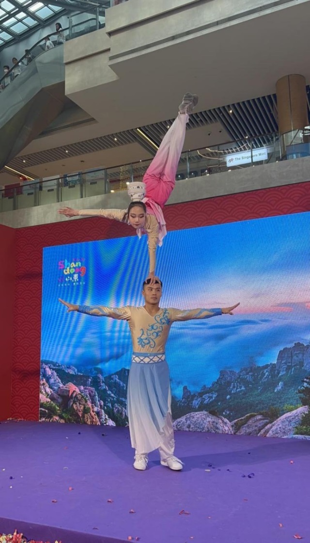 來(lái)自中國(guó)和新加坡的藝術(shù)團(tuán)體聯(lián)袂表演了歌舞、器樂(lè)、武術(shù)、雜技等多種形式的文藝節(jié)目?；顒?dòng)主辦方供圖