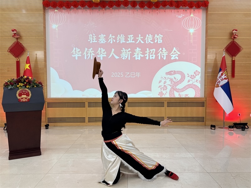 招待會現(xiàn)場表演。諾維薩德孔子學(xué)院供圖