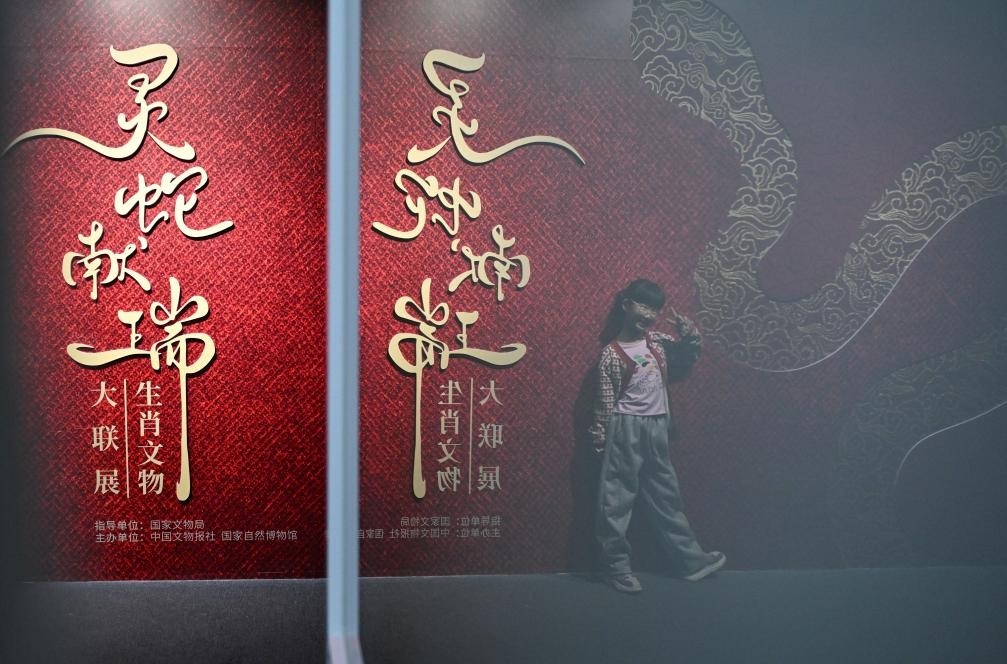 1月18日，一名小朋友在國家自然博物館舉辦的“靈蛇獻瑞——2025乙巳蛇年生肖文物大聯展”展覽中拍照留念。（新華社記者 陳鐘昊 攝）
