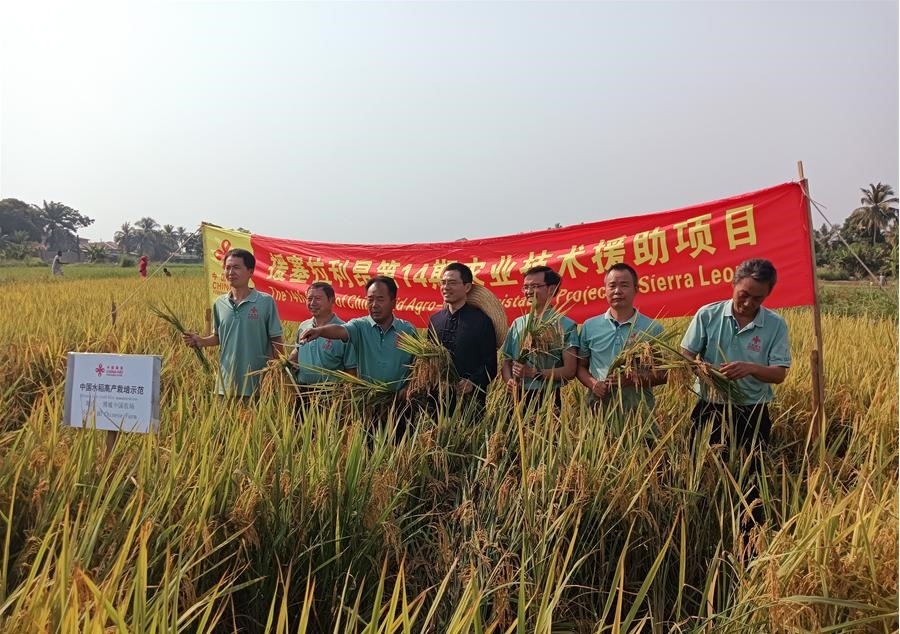 中國(guó)駐塞拉利昂大使王擎和援塞農(nóng)業(yè)專家組合影。中國(guó)援塞農(nóng)業(yè)專家組供圖