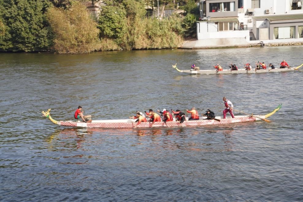 活動現(xiàn)場龍舟競技，共慶春節(jié)。開羅中國文化中心供圖