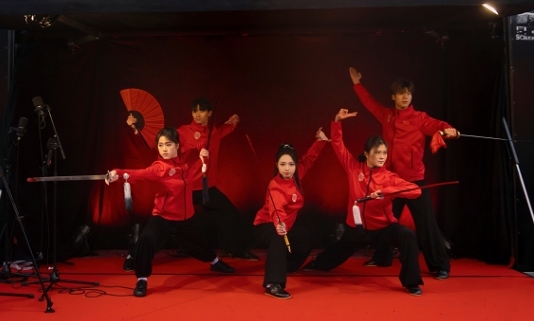 武術(shù)表演。中國(guó)駐芬蘭大使館供圖