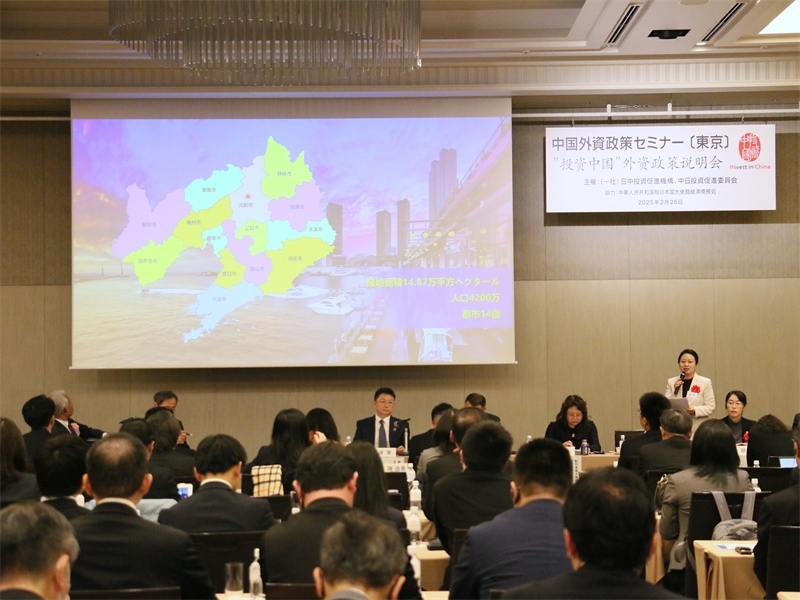 地方代表進(jìn)行專題投資推介。人民網(wǎng) 許可攝