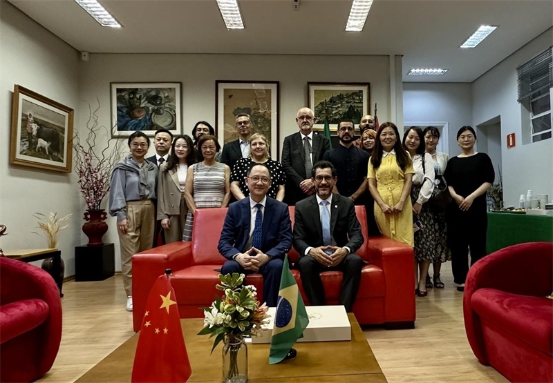 圖為參加座談會(huì)的來賓合影留念。 圣保羅州立大學(xué)孔子學(xué)院供圖