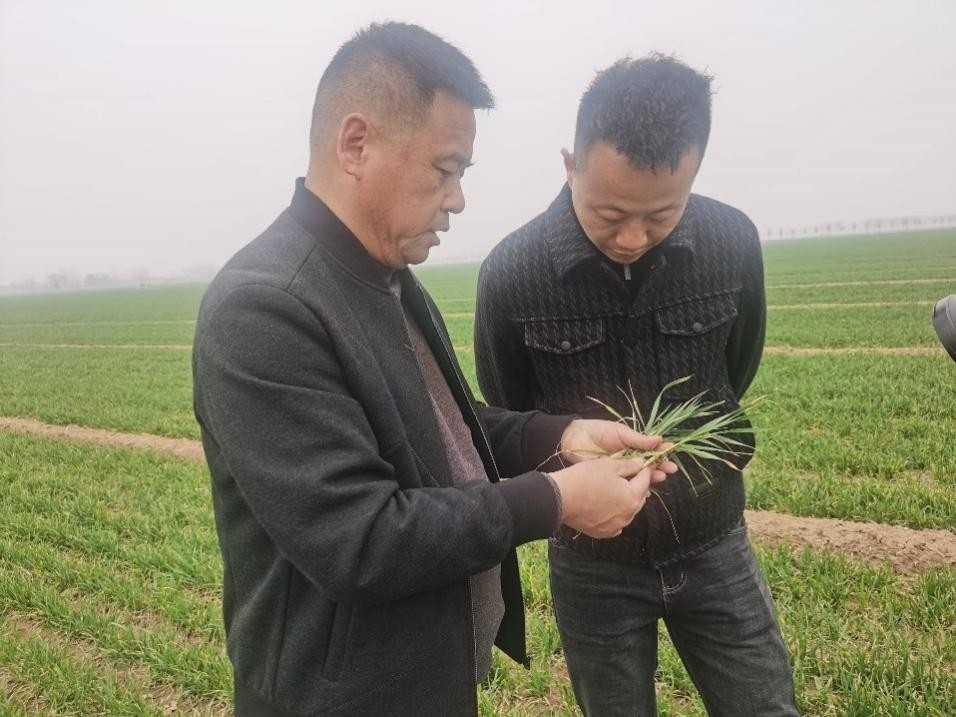 在山東濟寧汶上縣苑莊鎮(zhèn)，農技員黃海龍對種糧大戶王振現(xiàn)場進行春耕指導。人民網記者 車柯蒙攝