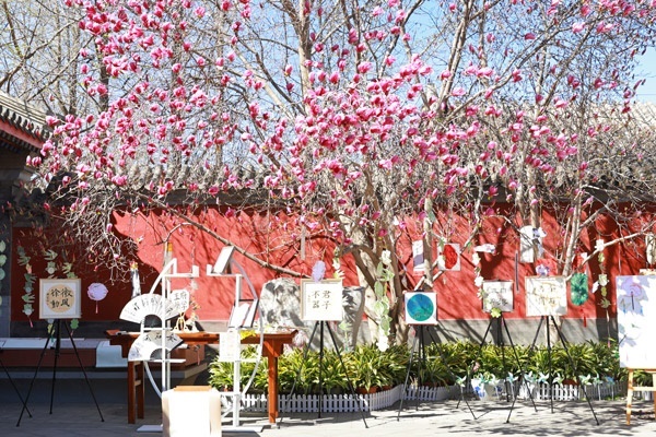 翰墨書(shū)韻展區(qū)的書(shū)法展品。府學(xué)胡同小學(xué)供圖