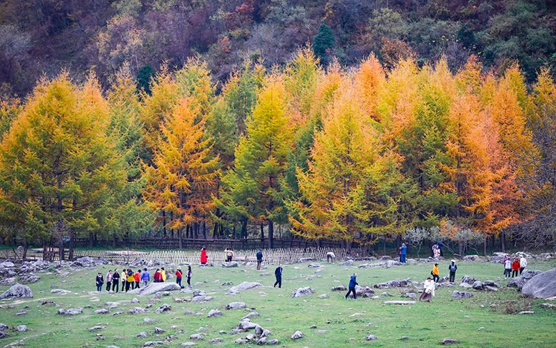 2023年10月27日，深秋時(shí)節(jié)的陜西秦嶺太子嶺五彩斑斕，進(jìn)入最佳觀賞期。