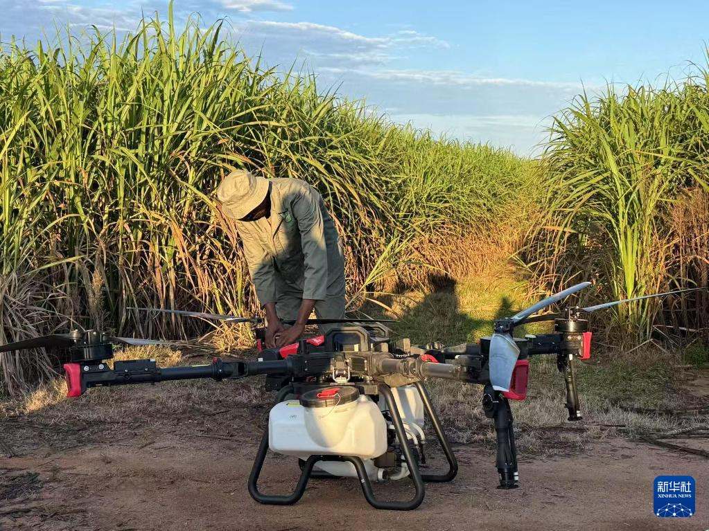 3月25日，在南非夸祖魯-納塔爾省的方廷希爾莊園，工作人員為無人機做起飛作業(yè)前的準備。新華社記者 白舸 攝