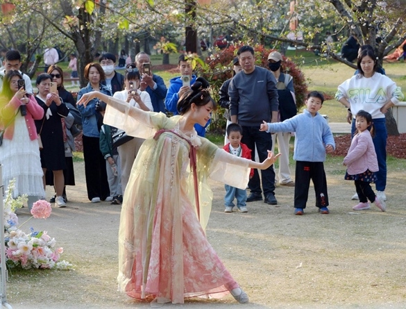 清明假期期間，上海顧村公園櫻花島上，游客在觀賞國風(fēng)漢服快閃表演。（圖片來源：視覺中國）